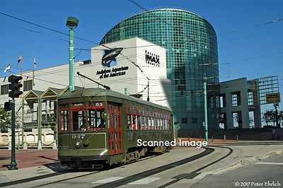 Original Photograph: New Orleans 947 at Aquarium (5 x 7)
