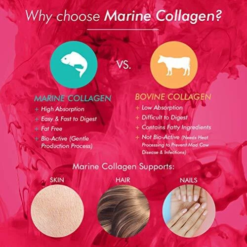 Bioglan Collagen Gummies | 1000mg | Hydrolysed Marine Collagen | Biotin | - image 2 of 4