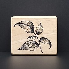 Magenta Rose Leaves Sprig Wood Mounted Rubber Stamp Flower Garden Nature