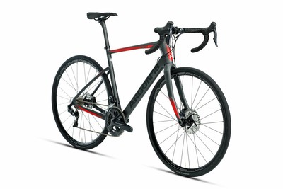 argon 18 endurance
