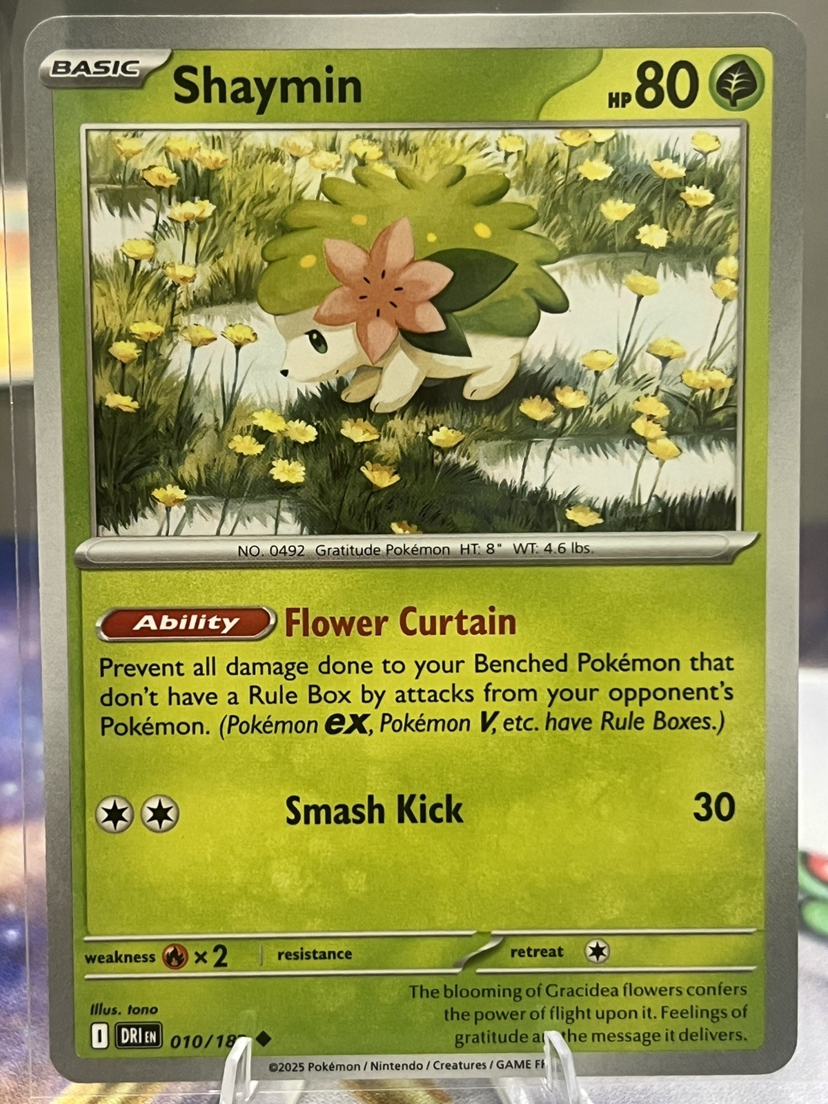 Shaymin 010/182 Sv10: Destined Rivals Regular NM