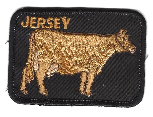 Jersey Cow Sew On Embroidered Patch 3.5 inch Vintage FFA 4-H Rodeo Farm Ranch