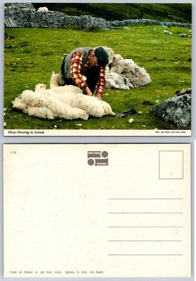 Vintage John Hinde Postcard: Sheep Shearing in Rural Ireland Photo