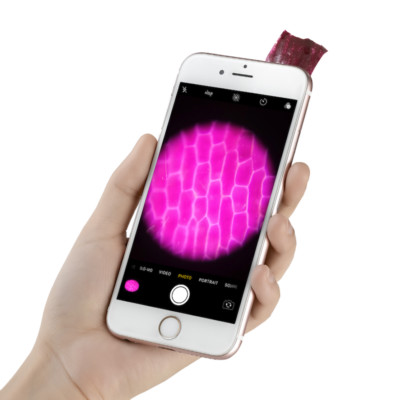 Supereyes Smartphone Microscope Camera Universal Adapter - 75x Magnification