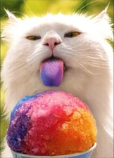Cat Licking Snow Cone Funny Belated Birthday Card by Avanti Press