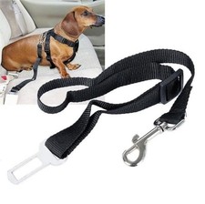 105948 Mascota Hebilla Cinturón para Asie…