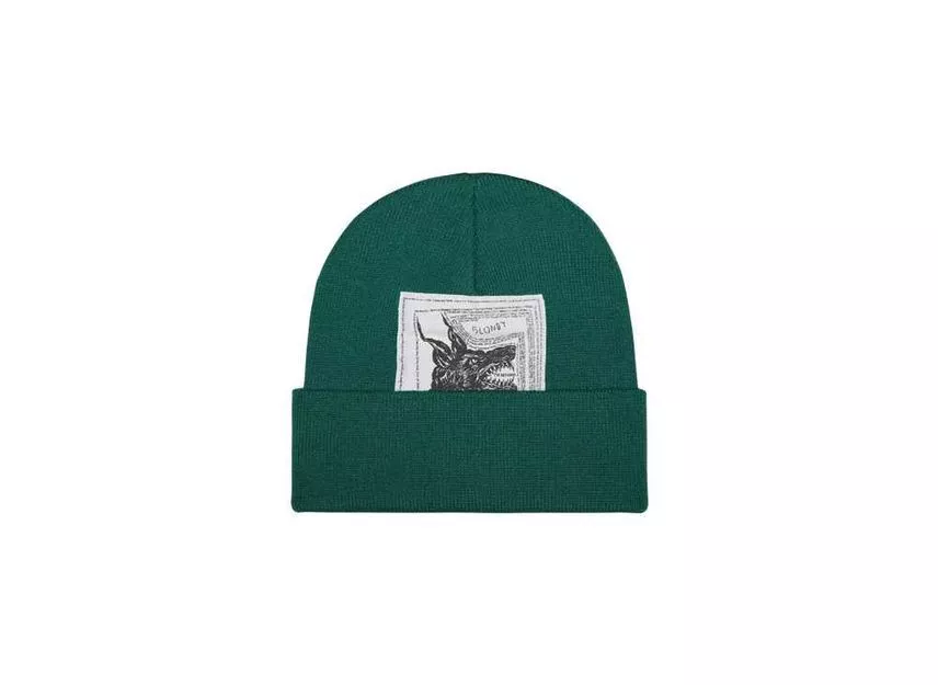 Bonnet vert Supreme x The North Face