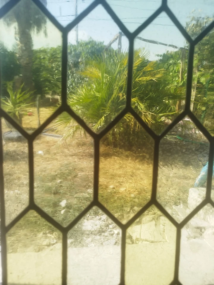 Vitrail Ancien, Verre Bullé, Tons Jaunes/Verts. Possibilité Plusieurs! 33.5x51 - Photo 2/4