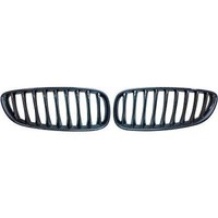 Diederichs 1251740 KüHlergitter, Frontgrill FüR BMW Z4 Roadster (E89) 2009-