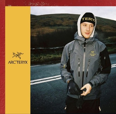 Special Arc Teryx X Palace Alpha Sv M Grey | eBay