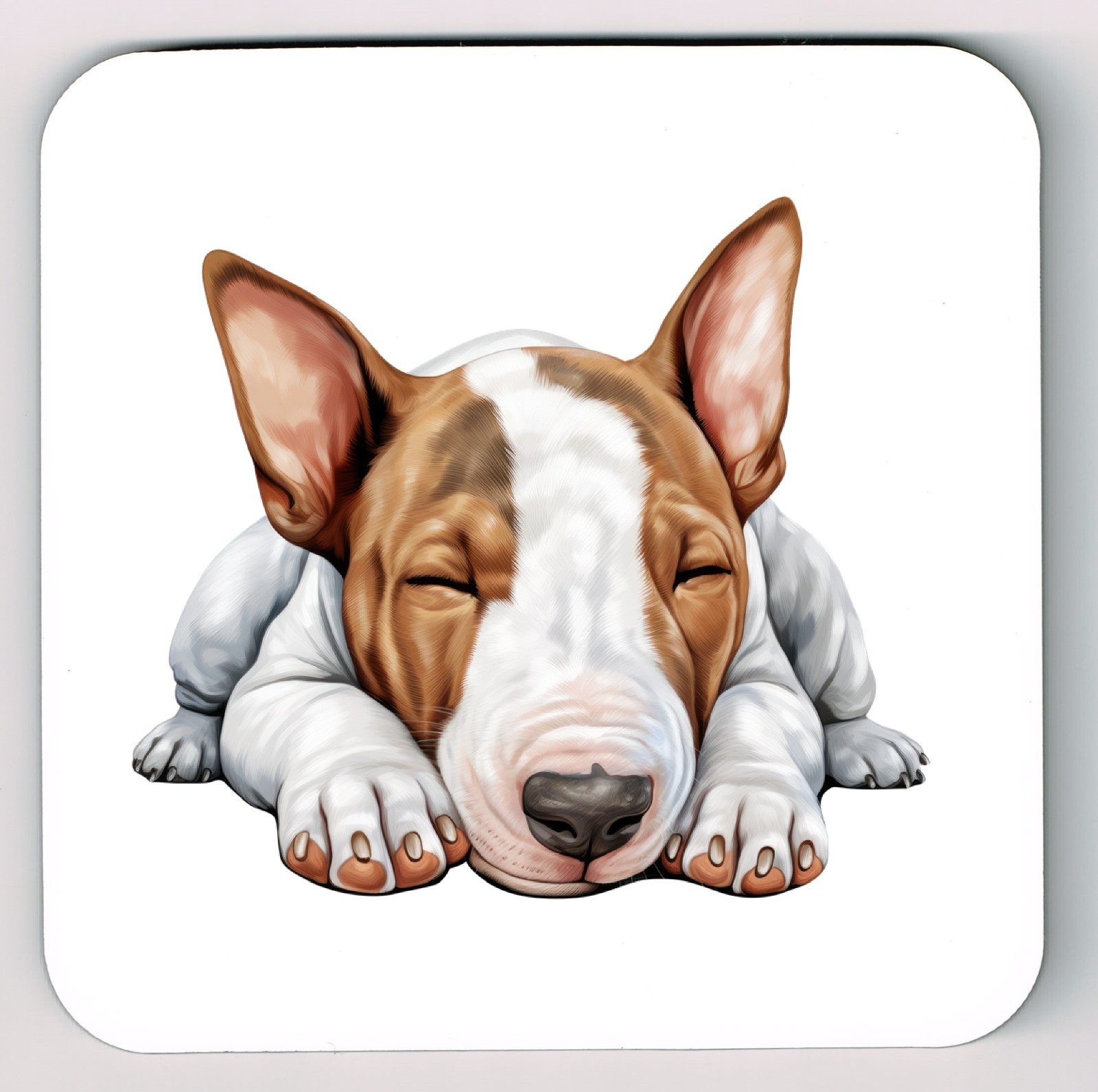 Sleeping Laying Down Bull Terrier Picture Coaster,  Bull Terrier Coaster