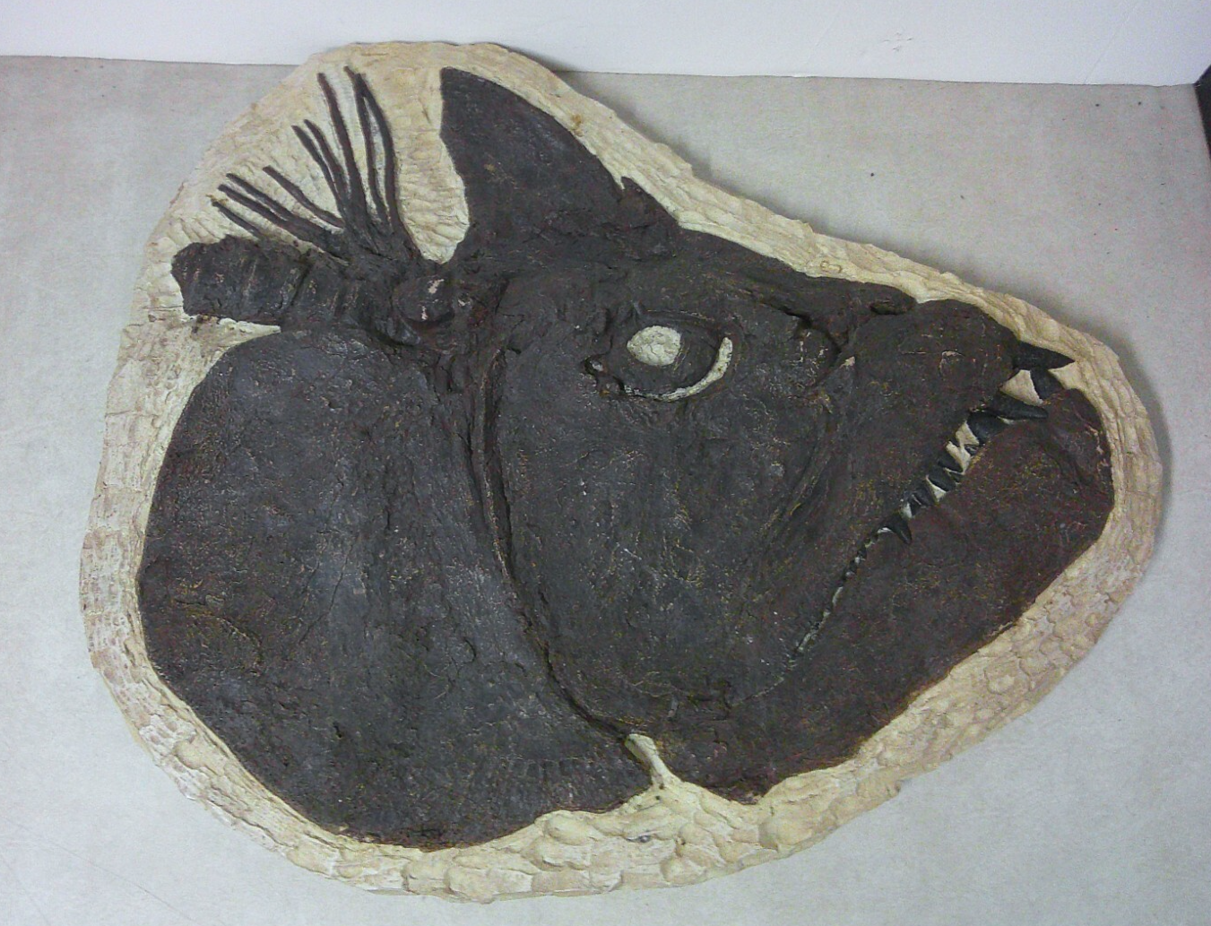 Xiphactinus Fish Fossil Replica Panel Resin Art Sculpture Museum Display Dinosaur Era