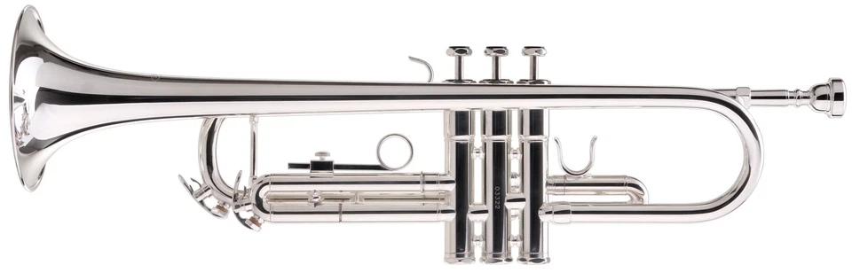 Tromba in Bb Nichel Argento per Studente 3 Embolo Set Custodia Bocchino Leggio - Immagine 2 di 4