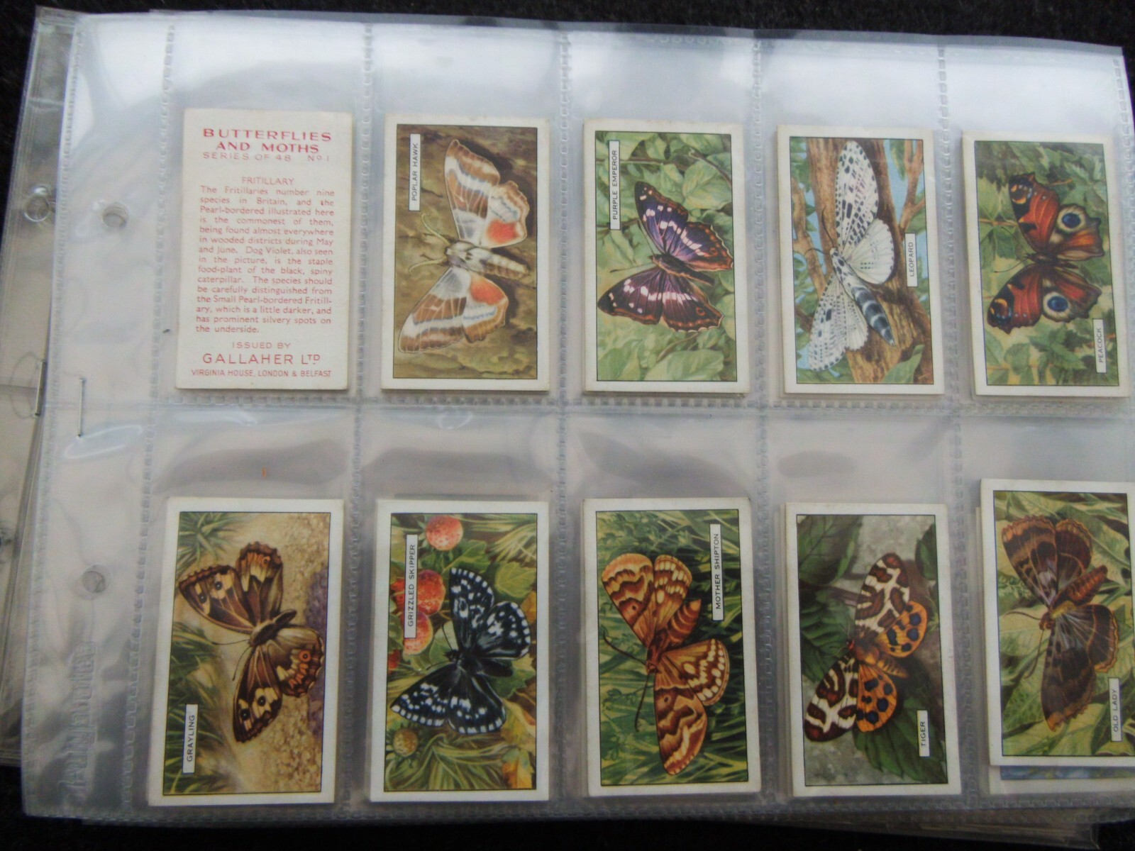 ONE COMPLETE SET CIGARETTE CARDS GALLAHER BUTTERFLIES AND MOTHS eBay