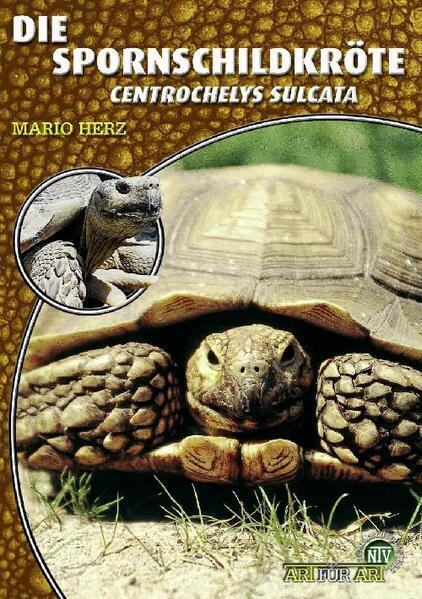 Thumbnail - Die Spornschildkröte | Mario Herz | 2010 | Deutsch