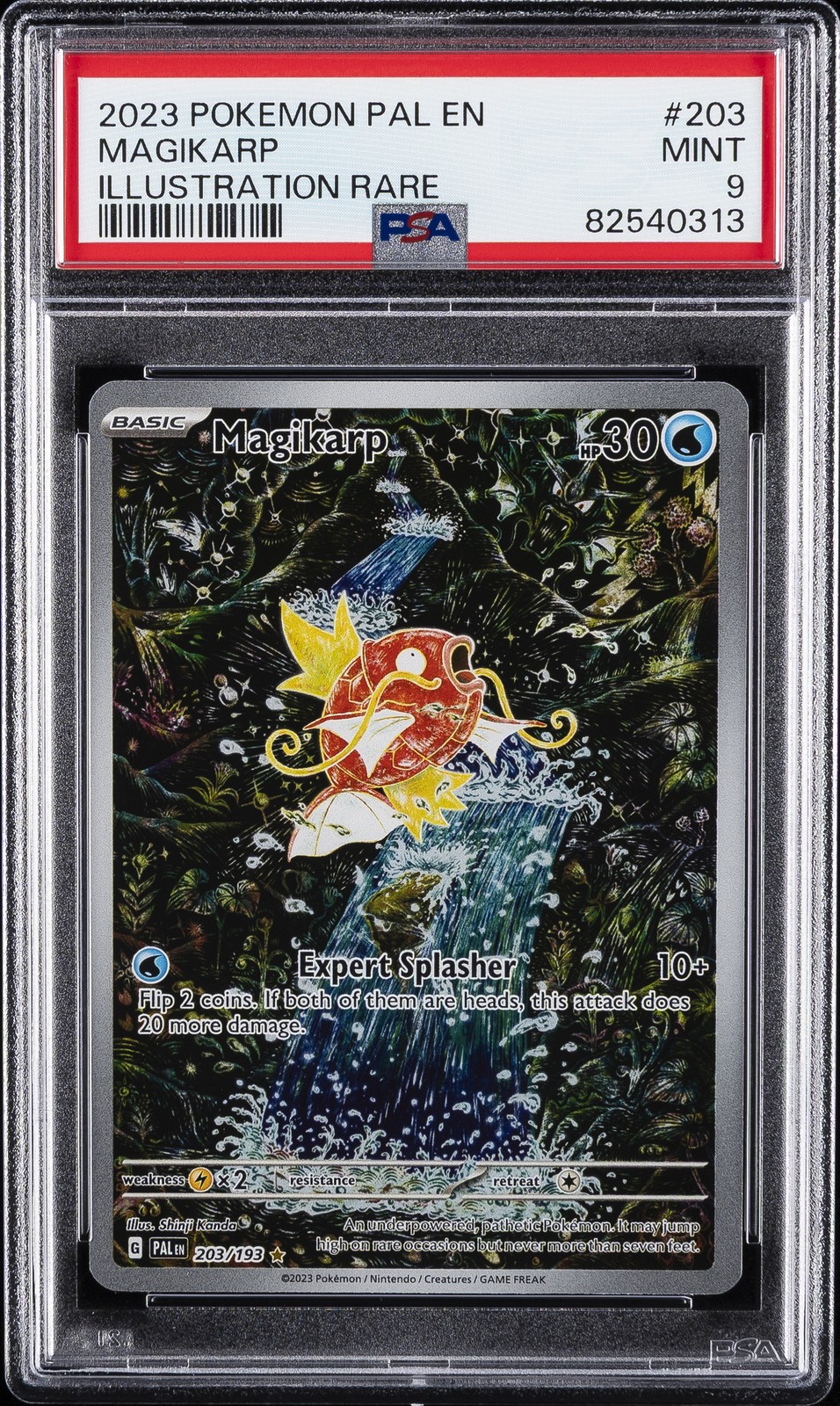 Magikarp #203