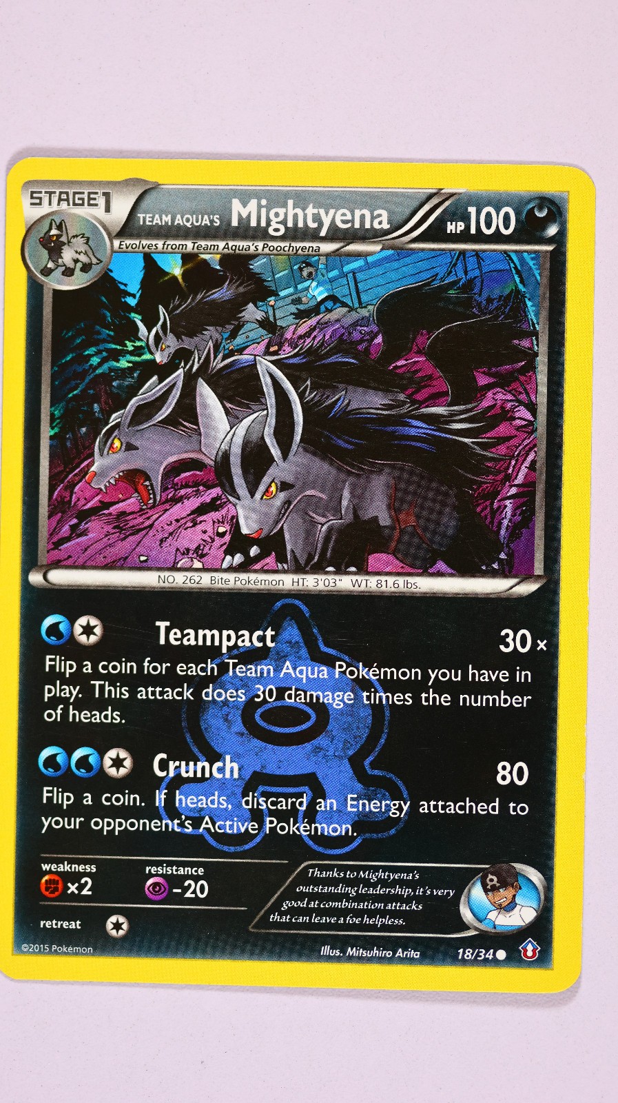 Team Aqua's Mightyena 18/34 Common NM XY Double Crisis Pokemon Card