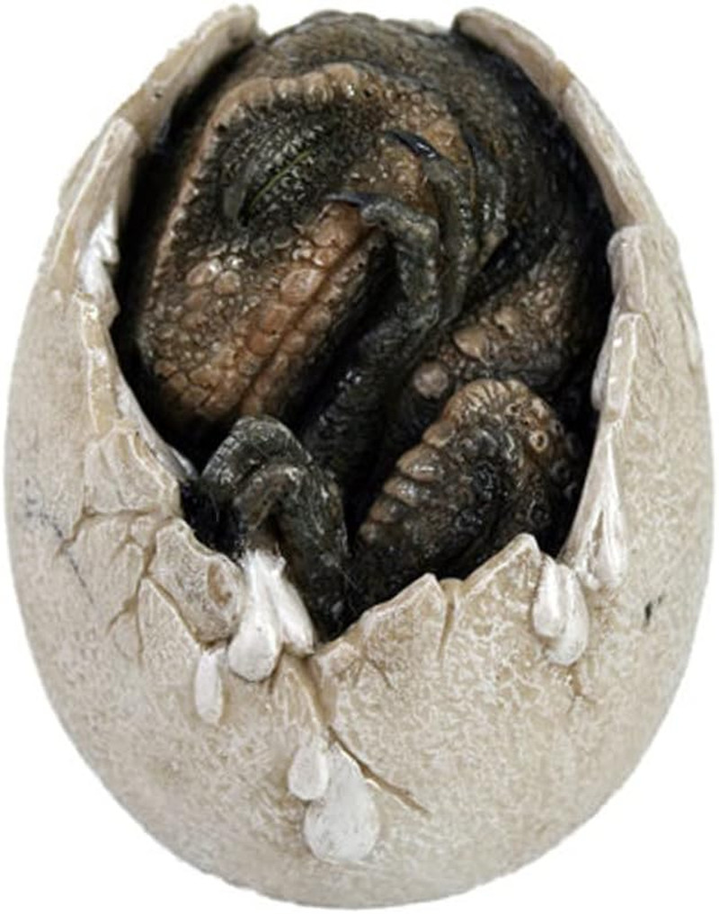 Jurassic Era Predator Tyrannosaurus Rex in Egg Dinosaur Figurine Hatchling Colle