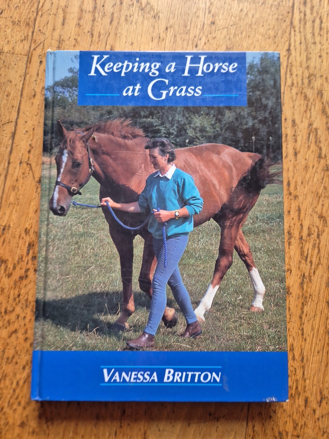 Keeping a Horse at Grass Vanessa Britton horse riding horses equine horse care