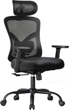 Ergonomic Office Chair with Padded Lumbar Support, 2D Headrest, Adjustable Armre