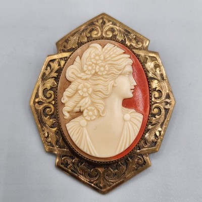Vintage Left Facing Cameo Brooch Shield Frame Ornate Flowers Victorian...