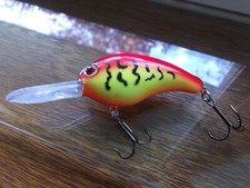 Custom Painted Strike King Pro Model Series 5,Nest Robber,Rattle