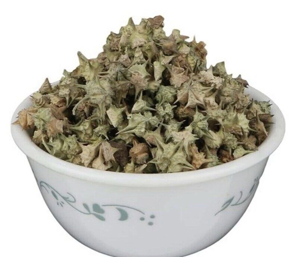 SPICE-COTTAGE 25g Whole Gokhru, Gokshura Tribulus Terrestris Premium Quality! Devil Seeds
