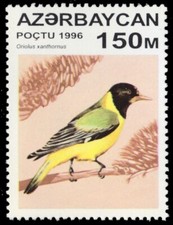 AZERBAIJAN 593 - Black-hooded Oriole "Oriolus xanthomus" (pb76334)
