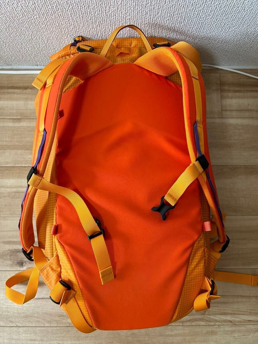 Patagonia Ascensionist Pack Backpack Orange 30L USED | eBay Patagonia Ascensionist Pack Backpack Orange 30L USED | eBay