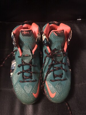 Size 5Y- Nike LeBron 12 Xmas Akron Birch 2014 | eBay