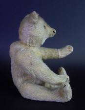 entzückender uralter STEIFF Teddy Bär - Buckel, Spitznase, Knopf mit langem F