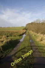 Photo 6x4 The Rookery Plantation, Bridgend, Islay Bridgend/Beul an Atha  c2013