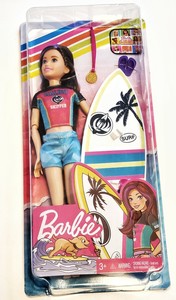 barbie dreamhouse adventures skipper