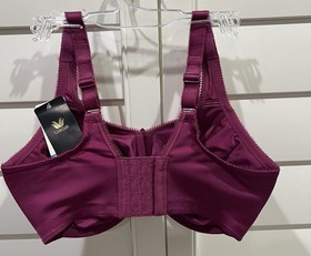 Wacoal Berry Basic Beauty Full Figure No Padding Underwire Bra 855192 34 DDD Nwt