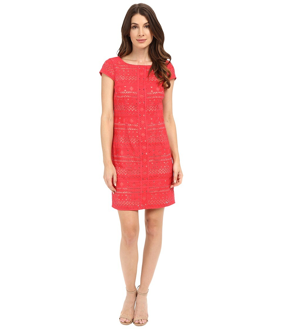 Laundry By Shelli Womens Segal Lace Shift Dress Coral Size 14 10846 | eBay Laundry By Shelli Womens Segal Lace Shift Dress Coral Size 14 10846 | eBay