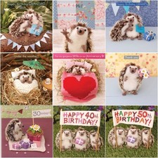 Cute Whimiscal Whimsical Card Hedgehogs