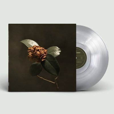 St. Paul & the Broken Bones - Young Sick Camellia [Used Very Good Vinyl LP] Colo