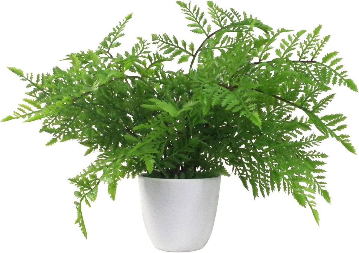 Briful Pianta Artificiale In Vaso - Felce Di Seta 32 Cm - Finta Per Decorazione Casa, Ufficio, Scrivania - 5