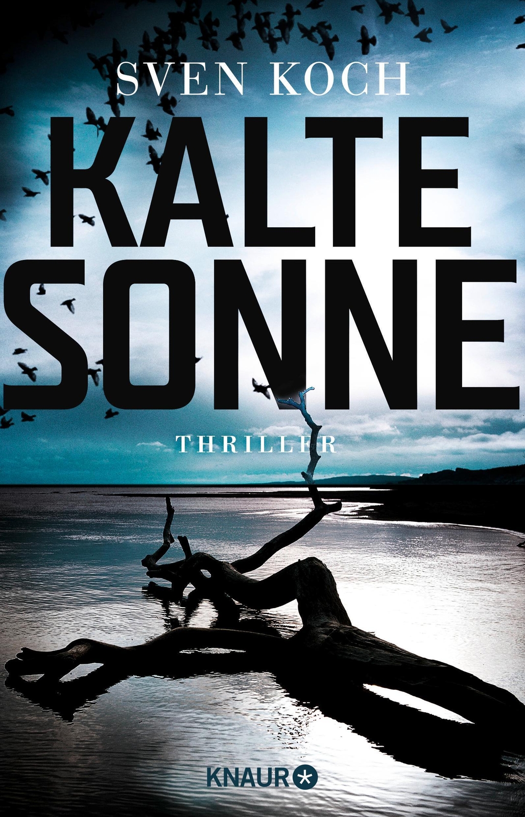 Thumbnail - Kalte Sonne | Sven Koch | Taschenbuch | 349 S. | Deutsch | 2018
