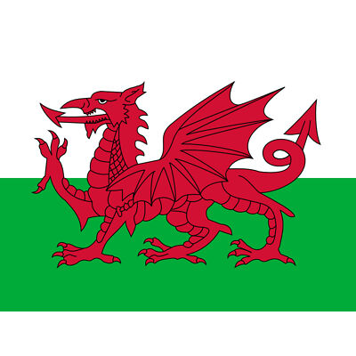 Wales National Flag World Flags Country Poster Huge Wall Art Print Giant