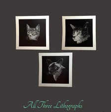 Art LOT, 3 Small Lithographs, Signed C. Hill, Vintage Cat Art, Small Collectible