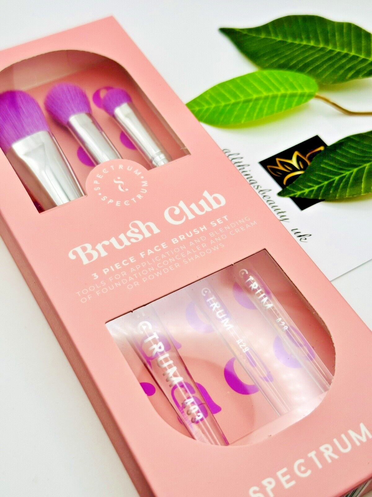 NEW Spectrum Brush Club 3 Piece Face Brush Set Boxed 🩷