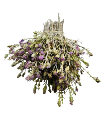 Wild Greek Dried Thyme Bunch 220g(7.8oz) Exceptional Quality - Harvest 2025 - Picture 4 of 5