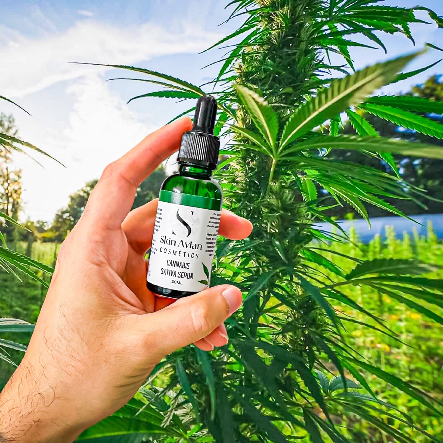 Cannabis Sativa Serum-Hemp Oil
