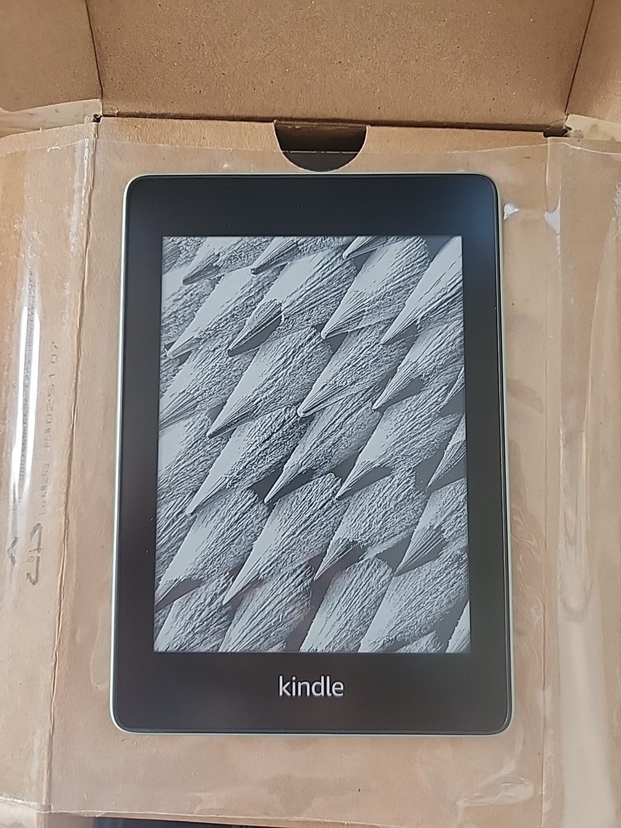 Amazon Kindle Paperwhite (10th Generation) 32GB, Wi-Fi, 6in
