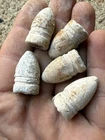Lot Of 5 FINE Dug CS Confederate Gardner Civil War Bullets SIEGE OF VICKSBURG MS