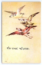 Vintage c1910 ON THE WING Birds in flight Postcard