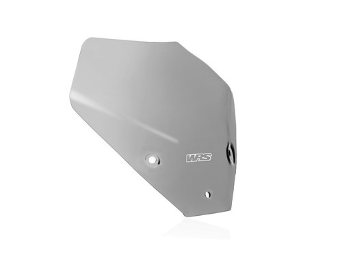 CUPOLINO TOURING FUME WRS PER BMW M 1000 R 2023-2024 - Imagen 5 de 8