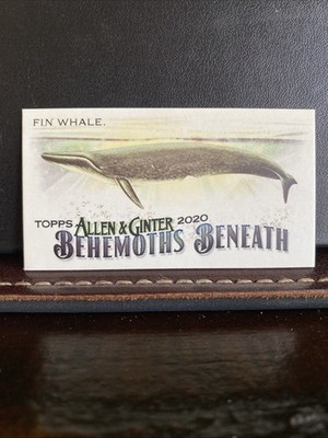 Fin Whale Behemoths Beneath MINI 2020 Topps Allen & Ginter #MGB-3