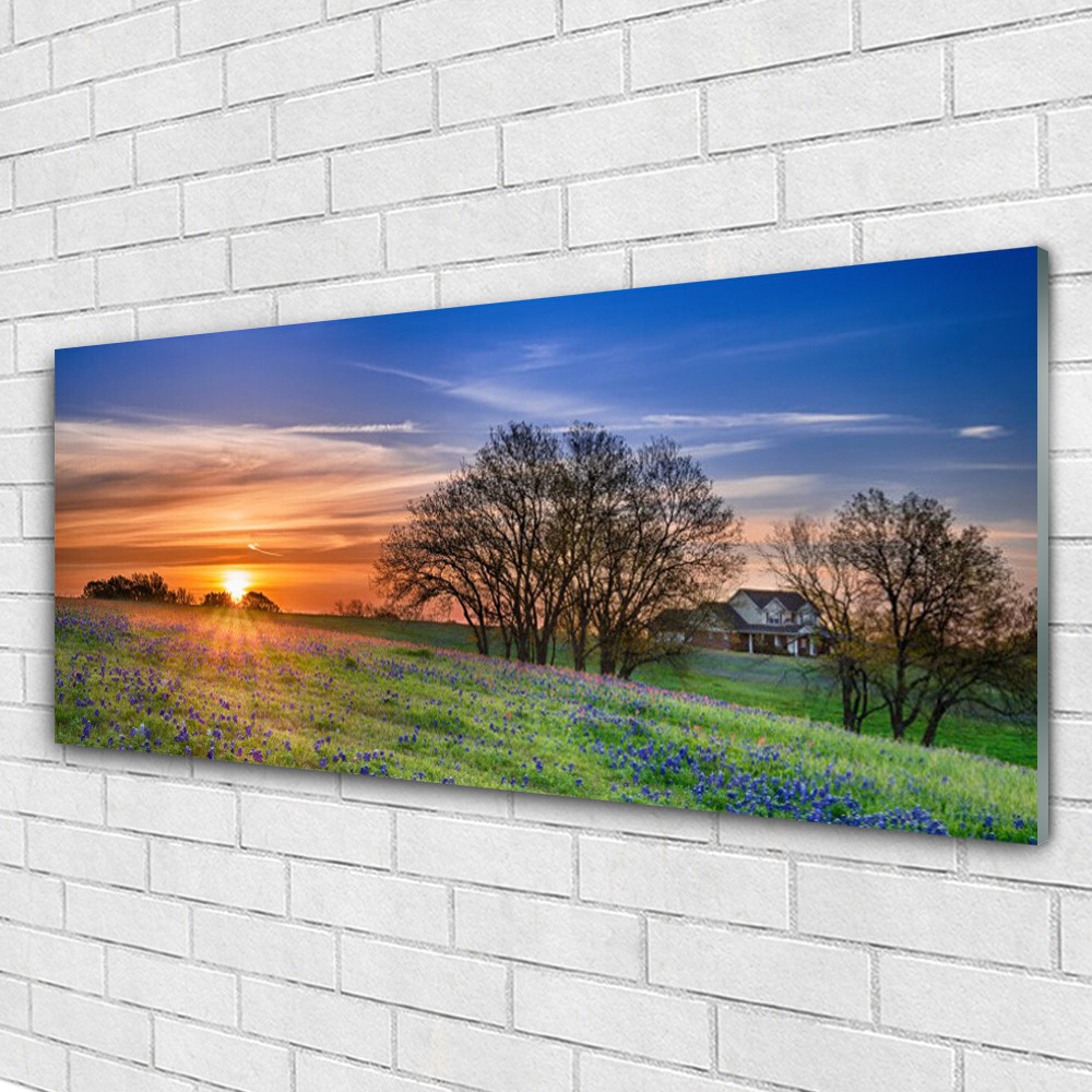 Tableau sur verre trempé Tulup 125x50 cm Soleil Prairie prestige panoramique